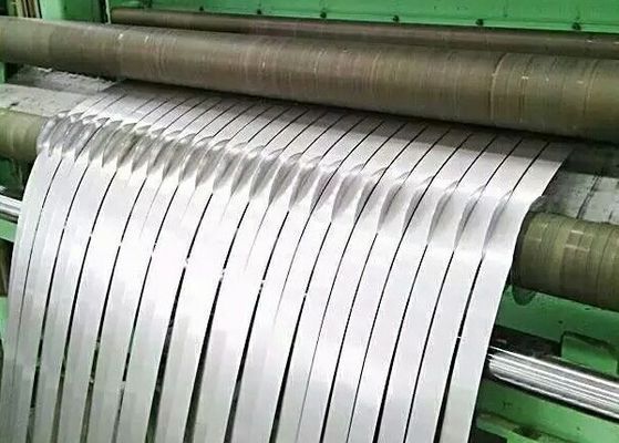 BACCANO perforato decorativo JIS delle strisce 1mm 2mm SS201 SUS304 di acciaio inossidabile del metallo