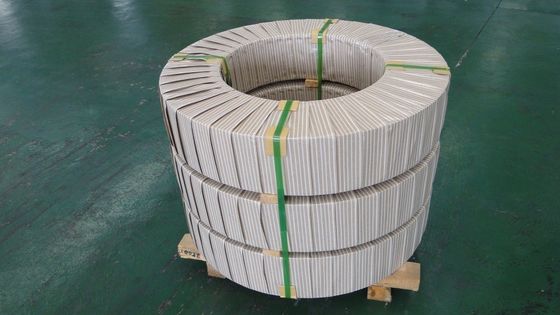 Lamina di metallo di resistenza al calore della striscia ASTM di acciaio inossidabile della fornace di SUS309S 2B